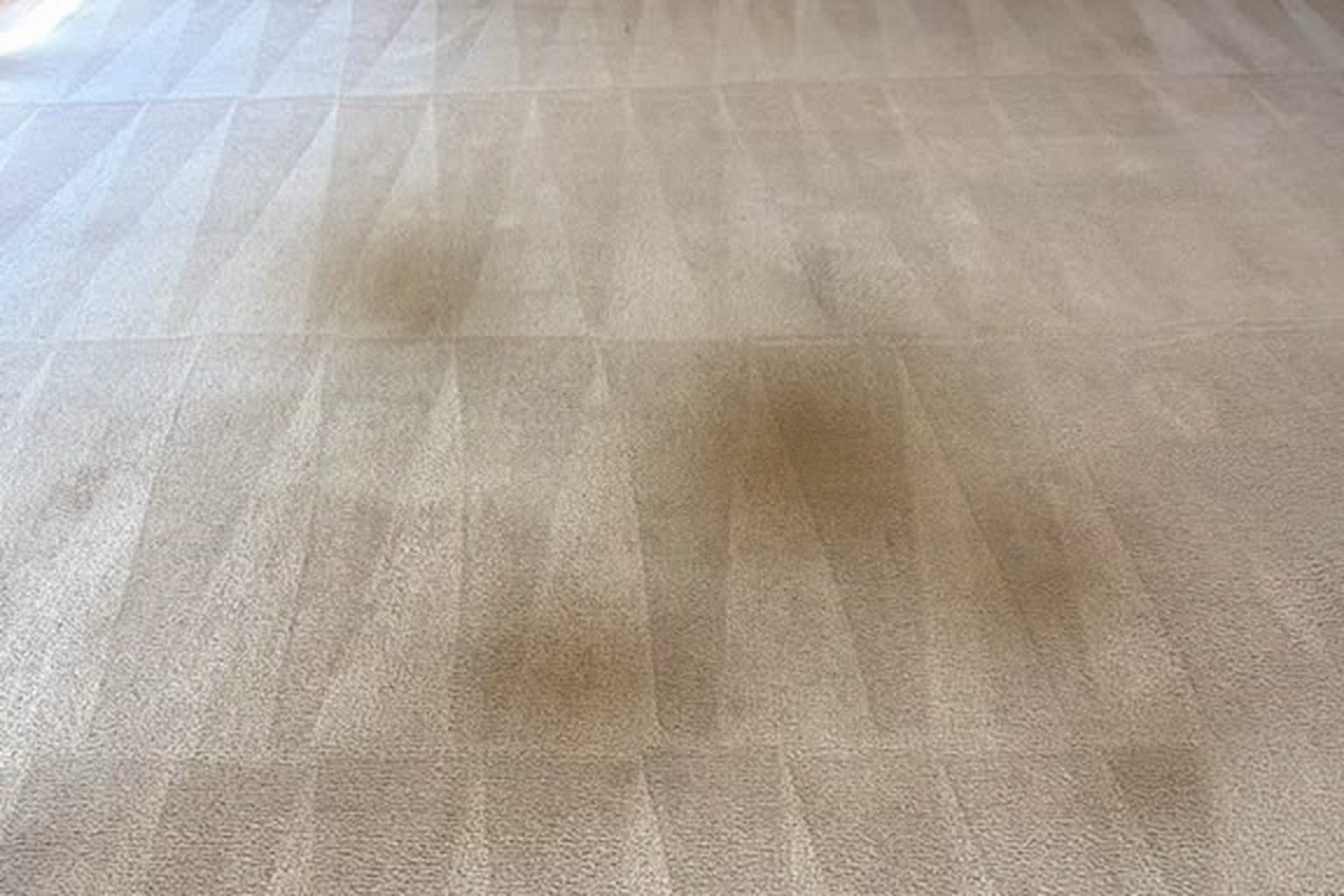 Spotted wall-to-wall carpet before professional cleaning